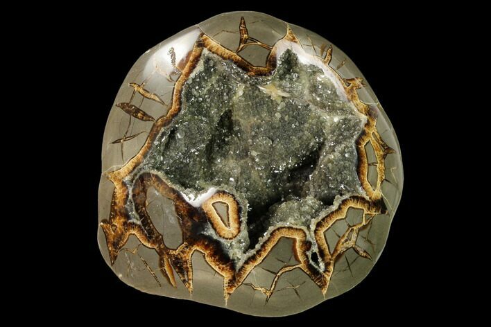 Polished, Crystal Filled Septarian Geode - Utah #149967